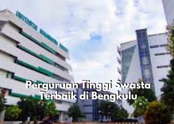Bingung Mau Kuliah Dimana? Cek Disini Rekomendasi Kampus PTS Terbaik di Bengkulu Versi Tahun 2025!