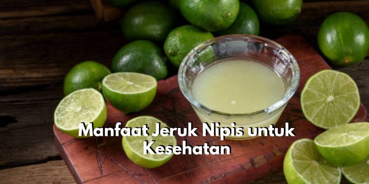 Ada 9 Tawaran Manfaat yang Bisa Dirasakan Tubuh Setelah Mengonsumsi Jeruk Nipis, Tak Terkecuali Mengatasi Gangguan Pernapasan!