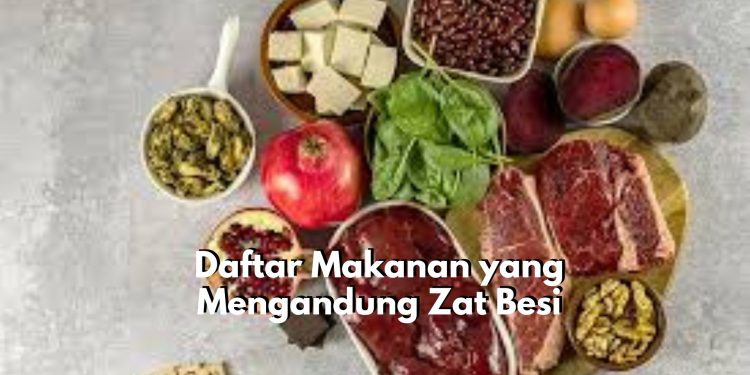 Baik untuk Cukupi Zat Besi Harian, Inilah 8 Daftar Makanan yang Kaya Akan Kandungan Zat Besi