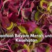 Cek Disini! 7 Manfaat Konsumsi Bayam Merah untuk Kesehatan, Salah Satunya Baik untuk Kesehatan Mata