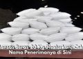 KPM Berbahagia! Bansos Beras 20 Kg Disalurkan, Cek Nama Penerimanya di Sini