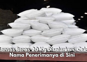 KPM Berbahagia! Bansos Beras 20 Kg Disalurkan, Cek Nama Penerimanya di Sini