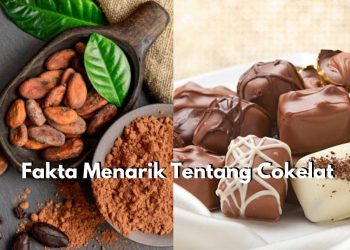 Berasal dari Amerika Tengah, Simak Disini Segudang Fakta Menarik Cokelat yang Jarang Diketahui!