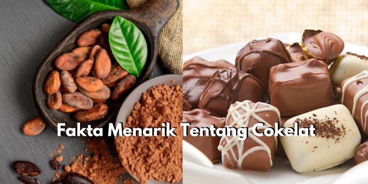 Berasal dari Amerika Tengah, Simak Disini Segudang Fakta Menarik Cokelat yang Jarang Diketahui!
