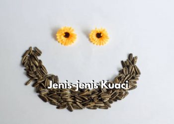 Berasal dari Biji Bunga Matahari hingga Biji Kedelai, Cek Disini Jenis-jenis Camilan Kuaci