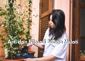 7 Arti dan Filosofi Bunga Melati yang Menarik untuk Diketahui, Ternyata Dijadikan Sebagai Simbol Kesucian dan Kemurnian