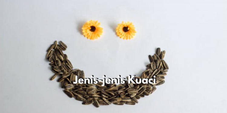 Berasal dari Biji Bunga Matahari hingga Biji Kedelai, Cek Disini Jenis-jenis Camilan Kuaci