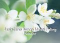 Mulai dari Melati Putih hingga Melati Musim Dingin, Inilah 7 Jenis Bunga Melati yang Populer di Indonesia