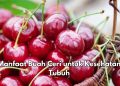 Ini Manfaat Lain Buah Ceri untuk Kesehatan, Ampuh Mencegah Risiko Diabetes