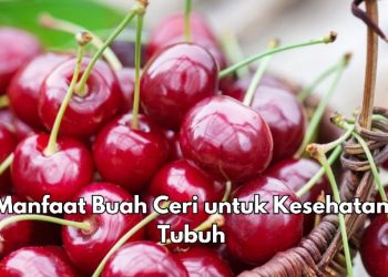 Ini Manfaat Lain Buah Ceri untuk Kesehatan, Ampuh Mencegah Risiko Diabetes