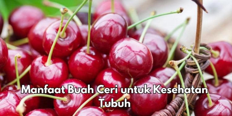 Ini Manfaat Lain Buah Ceri untuk Kesehatan, Ampuh Mencegah Risiko Diabetes