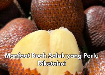 Daya Tahan Meningkat, Cek 8 Manfaat Buah Salak di Sini, Konsumsi Secukupnya