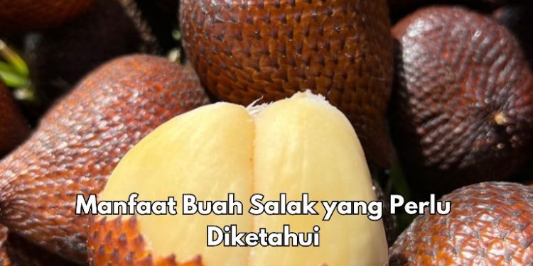 Daya Tahan Meningkat, Cek 8 Manfaat Buah Salak di Sini, Konsumsi Secukupnya