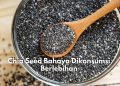 Chia Seed Bahaya Dikonsumsi Berlebihan, Waspada 6 Efek Sampingnya