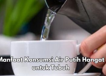 Klaim 8 Manfaat Minum Air Putih Hangat Ini, Ampuh Meningkatkan Fungsi Sistem Saraf