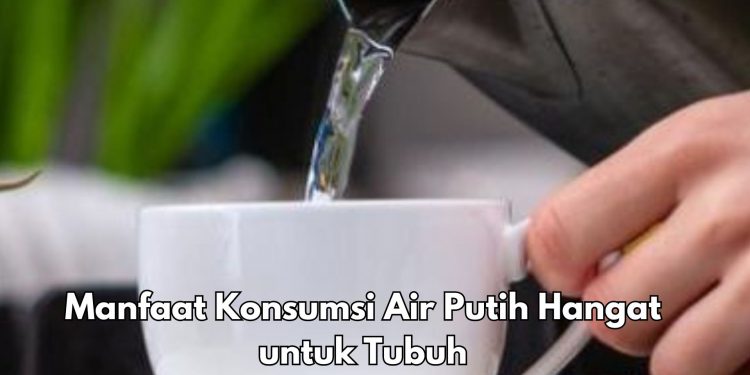 Klaim 8 Manfaat Minum Air Putih Hangat Ini, Ampuh Meningkatkan Fungsi Sistem Saraf
