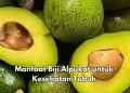 Cek di Sini, Manfaat Biji Alpukat Dapat Menurunkan Kolesterol, Baik untuk Tubuh