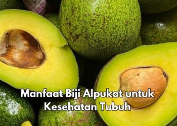 Cek di Sini, Manfaat Biji Alpukat Dapat Menurunkan Kolesterol, Baik untuk Tubuh