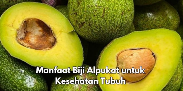 Cek di Sini, Manfaat Biji Alpukat Dapat Menurunkan Kolesterol, Baik untuk Tubuh