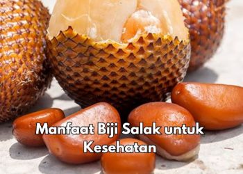 Manfaat dari Biji Salak Sehari-hari, Bisa Mencegah Hipertensi, Cek Lainnya di Sini