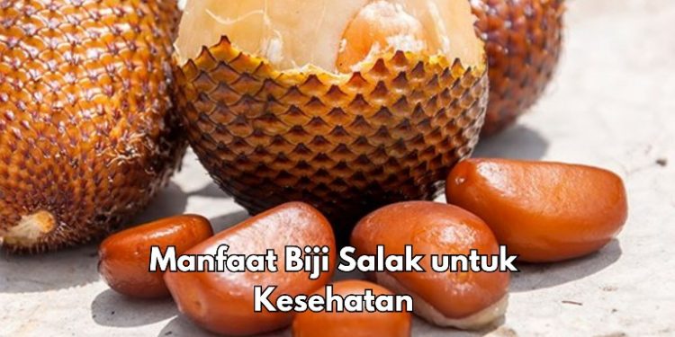 Manfaat dari Biji Salak Sehari-hari, Bisa Mencegah Hipertensi, Cek Lainnya di Sini