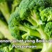 6 Makanan Sehat Ini Baik untuk Percernaan, Coba Rutinkan Sayuran Hijau