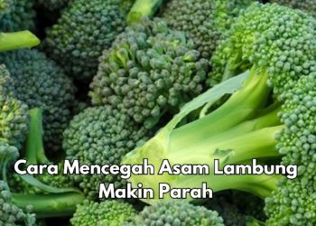 Perlu Tahu! Ini Cara Mencegah Asam Lambung Makin Parah, Salah Satunya Pilih Makanan yang Tepat