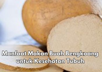 8 Manfaat Makan Buah Bengkoang, Salah Satunya Bisa Mencegah Penyakit Jantung