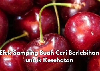 Ini 11 Efek Samping dari Buah Ceri Berlebihan, Bisa Jadi Obat Pencahar Alami
