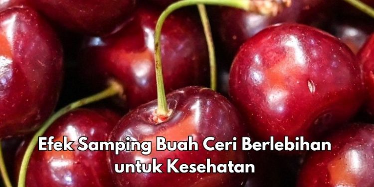 Ini 11 Efek Samping dari Buah Ceri Berlebihan, Bisa Jadi Obat Pencahar Alami