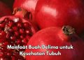 Ini 7 Manfaat Buah Delima bagi Tubuh, Salah Satunya Dapat Menjaga Pencernaan