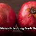 6 Fakta Menarik Buah Delima di Sini, Punya Antioksidan Tinggi, Yuk Konsumsi Sehari-hari