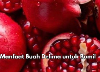 Konsumsi Buah Delima Baik untuk Bumil, Cek 7 Manfaat di Sini! Bisa Membantu Perkembangan Otak Janin