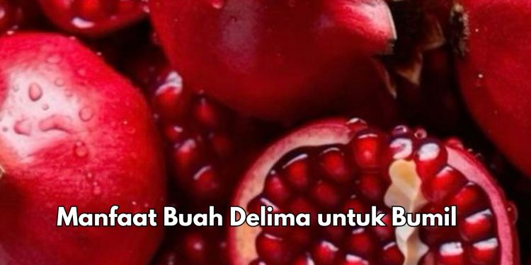 Konsumsi Buah Delima Baik untuk Bumil, Cek 7 Manfaat di Sini! Bisa Membantu Perkembangan Otak Janin