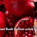 Konsumsi Buah Delima Baik untuk Bumil, Cek 7 Manfaat di Sini! Bisa Membantu Perkembangan Otak Janin