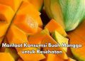 Konsumsi Buah Mangga Sehari-hari Dapat Redakan Sembelit, Cek Manfaat Lainnya di Sini