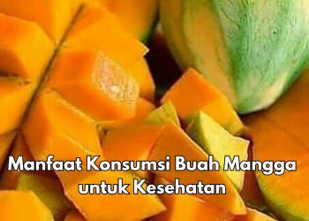 Konsumsi Buah Mangga Sehari-hari Dapat Redakan Sembelit, Cek Manfaat Lainnya di Sini
