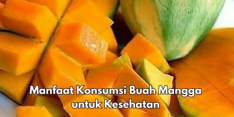 Konsumsi Buah Mangga Sehari-hari Dapat Redakan Sembelit, Cek Manfaat Lainnya di Sini