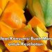 Konsumsi Buah Mangga Sehari-hari Dapat Redakan Sembelit, Cek Manfaat Lainnya di Sini