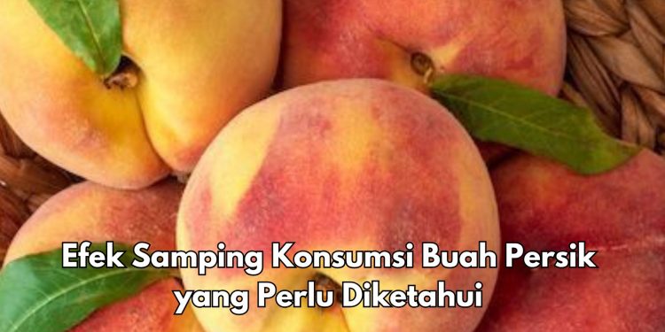 Cek Efek Samping di Sini! Kulit Buah Persik Punya Zat Kimia, Hati-hati