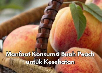 Manfaat Lain Buah Peach bagi Tubuh, Konsumsi Sehari-hari Bisa Mengontrol Berat Badan