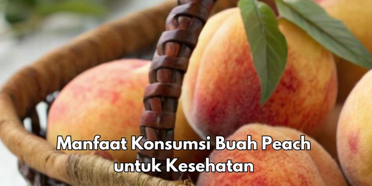 Manfaat Lain Buah Peach bagi Tubuh, Konsumsi Sehari-hari Bisa Mengontrol Berat Badan