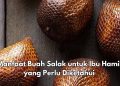 Cek Lainnya, Ini Manfaat Buah Salak untuk Ibu Hamil, Konsumsi Rutin Auto Makin Sehat