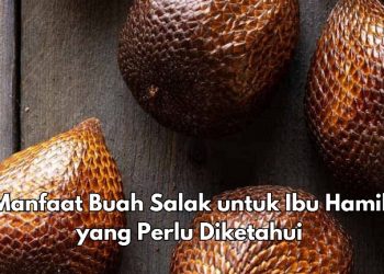 Cek Lainnya, Ini Manfaat Buah Salak untuk Ibu Hamil, Konsumsi Rutin Auto Makin Sehat