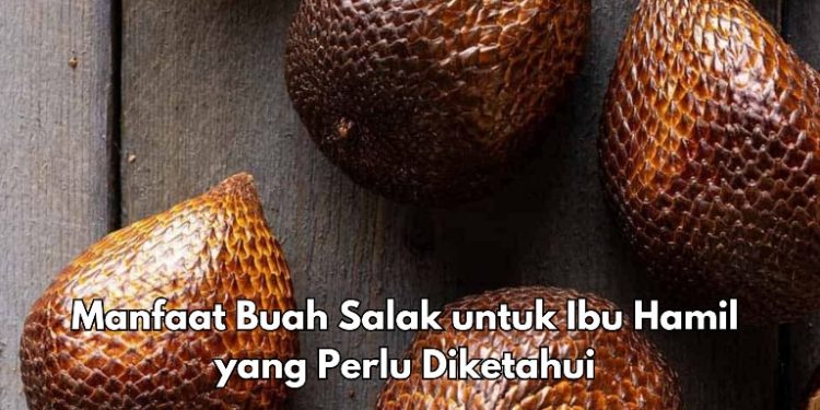 Cek Lainnya, Ini Manfaat Buah Salak untuk Ibu Hamil, Konsumsi Rutin Auto Makin Sehat