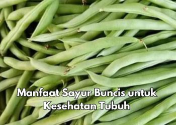 Cek di Sini! Ini 5 Manfaat Konsumsi Sayur Buncis, Bisa Kurangi Gejala Depresi