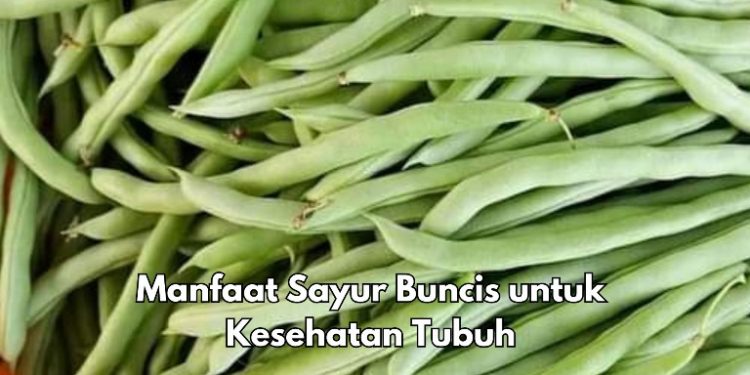 Cek di Sini! Ini 5 Manfaat Konsumsi Sayur Buncis, Bisa Kurangi Gejala Depresi