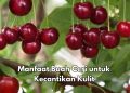 Buah Ceri Ini Ampuh Mencerahkan Kulit, Cek Manfaat bagi Kecantikan di Sini, Yuk Rutinkan
