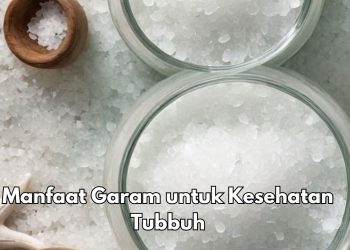 Ini 8 Manfaat Garam bagi Tubuh, Bisa Membuat Pencernaan Membaik