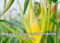 Cek di Sini, Makanan Sehat Ini Bisa Dikonsumsi Penderita Jantung, Apa Saja?